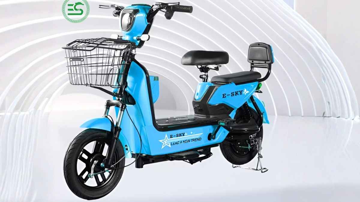 Discover Marex Ebike Prices Bicycle Costs from China Market