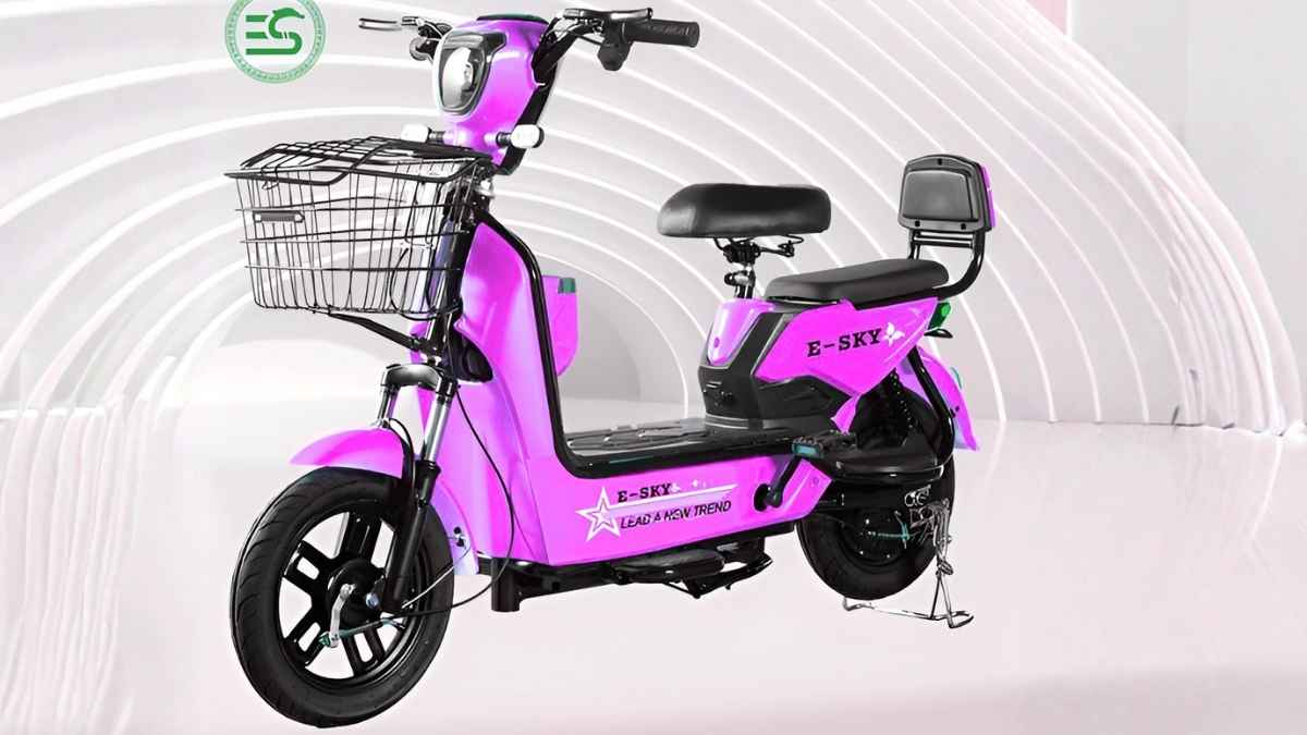 Affordable Green Udaan 25km/h Electric Bike for Daily Use